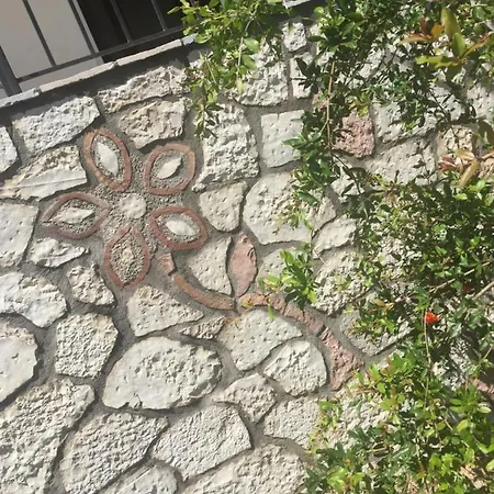 Hill Apartaments Qeparo